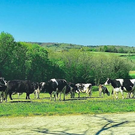 « Le Vieux Hangar » Gite A La Ferme Le Buisson-de-Cadouin المظهر الخارجي الصورة