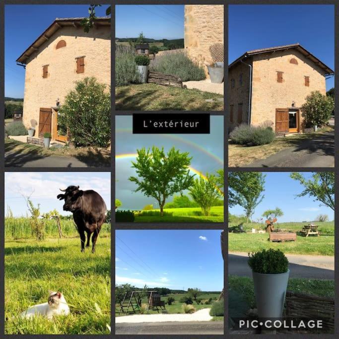 « Le Vieux Hangar » Gite A La Ferme Le Buisson-de-Cadouin المظهر الخارجي الصورة